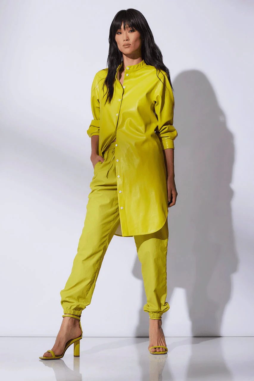 Vegan Luxe Lambskin Dress - Image 4