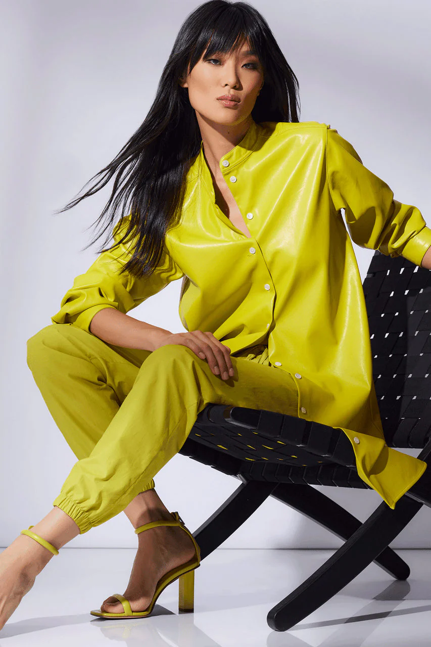 Vegan Luxe Lambskin Dress - Image 5